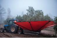 DOP Aceite de La Rioja 3