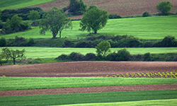 1º mayo 2011 cur 220 copia