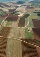 vista general de un campo