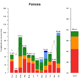 516-GraficoPrecipitacion_anual-2020