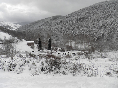 3_Foto nieve_interior_