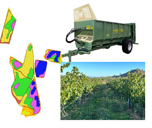 CD 80 enmienda organica