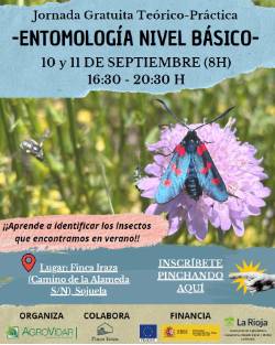 Jornada entomología básica