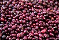 Alubia de Anguiano 3