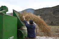 Alubia de Anguiano 4