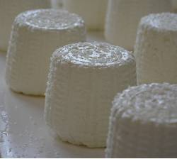 Queso fresco