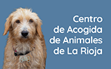 centro-de-acogida-de-animales