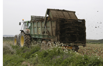 Esparciendo estiércol en una finca