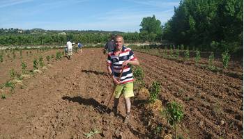 CD 68 policultivo peral-azafrán-judía_p