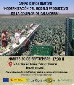 JORNADA CAMPO DEMOSTRATIVO SAT