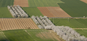 Desarollo rural1