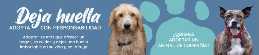 deja_huella_adopta_responsabilidad