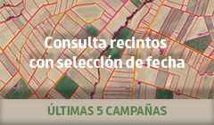 acceso_sigpac_5 campañas_240 OK. Este enlace se abrirá en una ventana nueva