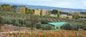 1 almazara experimental en primer plano