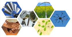 campos-demostrativos