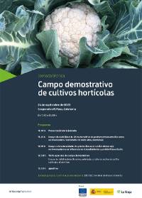 Jornada campo coliflor Calahorra_72