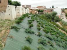 baños de río tobía