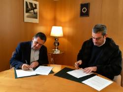 Estudio accidentes tráfico