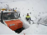 unimog