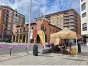 Implantacion Biorresiduos (9)