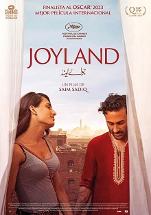 8. joyland