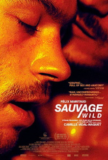 08-sauvage