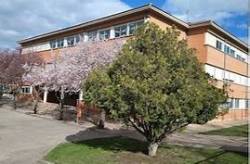 caballero de la rosa2