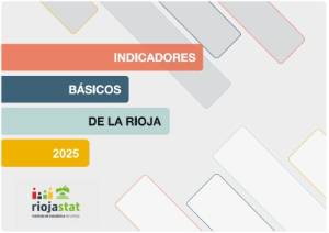 PortadaIndicadoresBásicos2025_Web