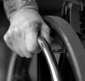 servicios centro SS Rioja Baja