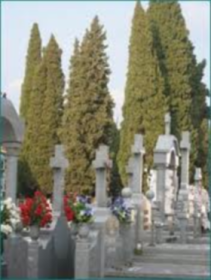 Servicios policía sanitaria