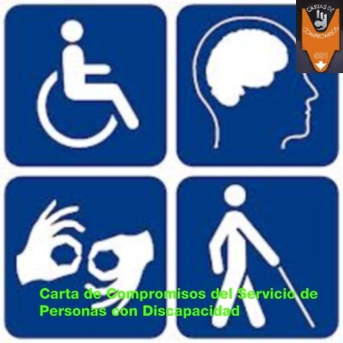 portada personas discapacidad