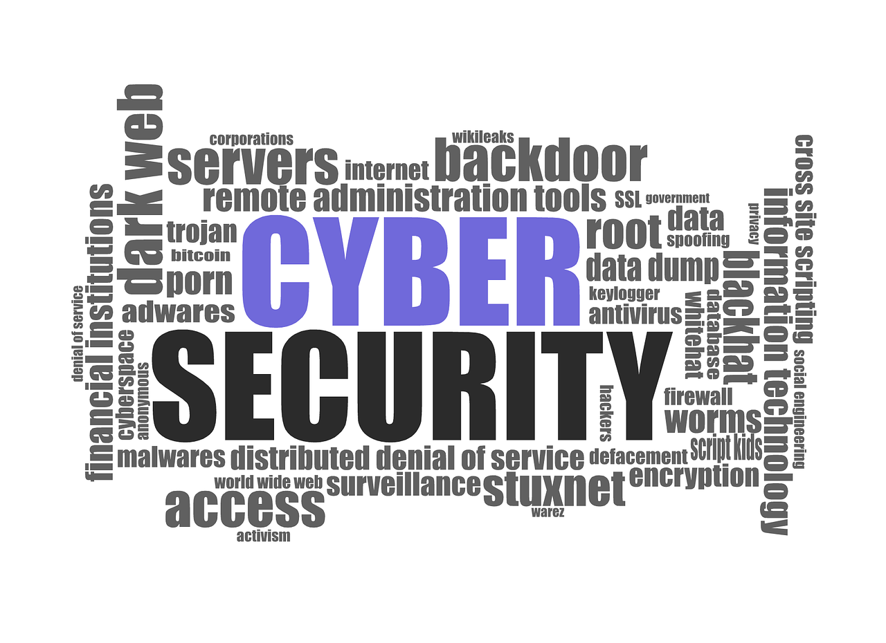 cyber-security-1784985_1280