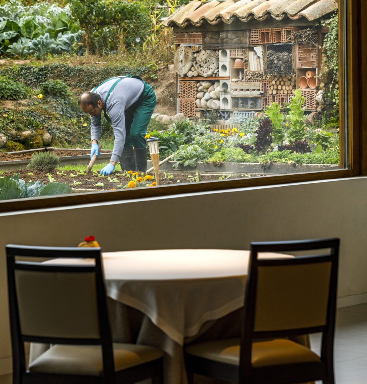 Gourmet Echapresto 2