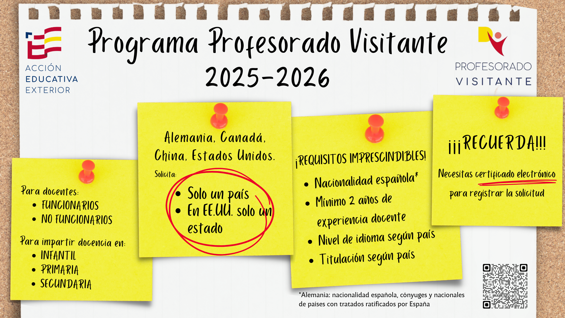 Programa profesorado visitante-infografia