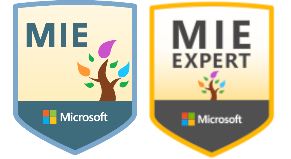 MIE-MIE expert