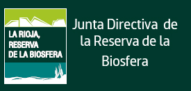 junta directiva copia