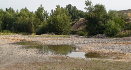 Río Jubera