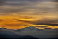 Título "A su paso por La Rioja"