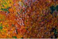 6_PremioResidente_AvistaDe pájaro_CarlosCordonGuridi_baja