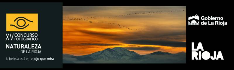 XV_banner logos__banner_bases copia