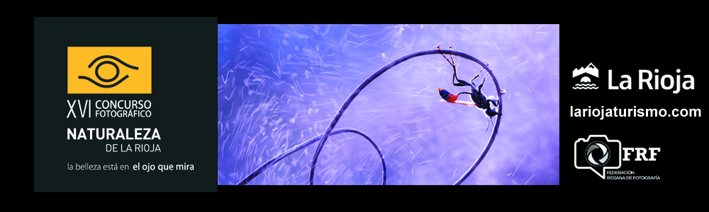 XVI_banner logos__banner_basesv3 copia