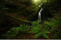 Título: "Rincones mágicos"