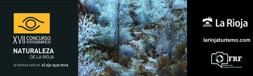 XVII_banner logos__banner_basesv1 copia