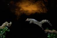 Autor: Germán Fraile Obra: "Volando"