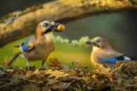 Autor: Luis Javier Martinez Heras Obra: "Mi tesoro"