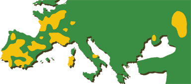 Mapa de distribución de población de sisón