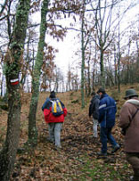 Grupo excursionistas en Sierra de Cebollera