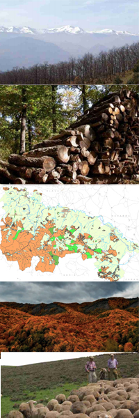 catálogo de montes de utilidad pública de La Rioja