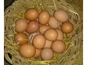 restaurante La Alameda