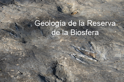 geologia copia